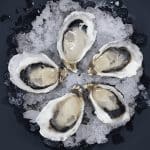 Kelvin Oyster Frenzy