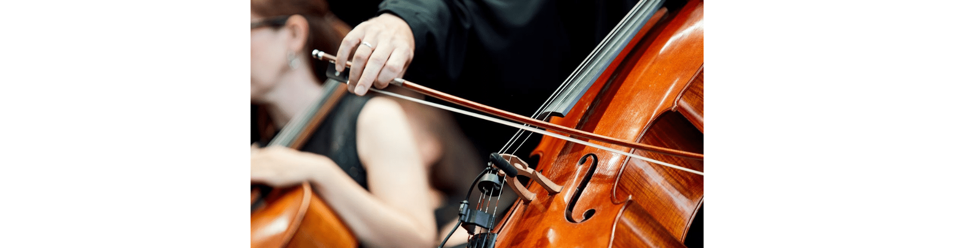 Melbourne Symphony Academy